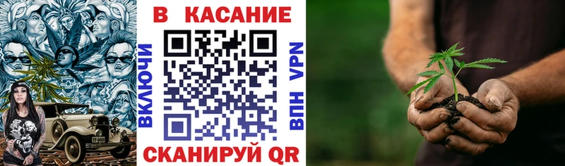 Наркота Лянтор Кокаин  APVP  Гашиш 