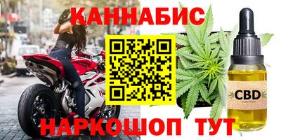 сатива Кингисепп