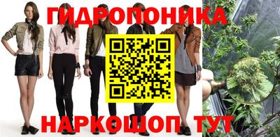 молекула духа Кимры