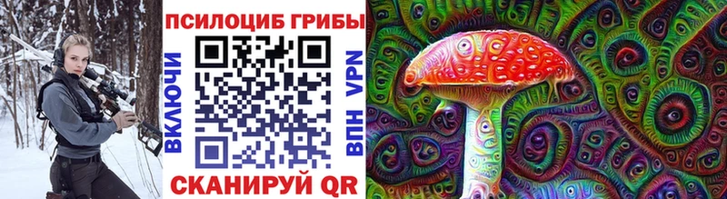 купить закладку  Лянтор  Псилоцибиновые грибы Psilocybine cubensis 