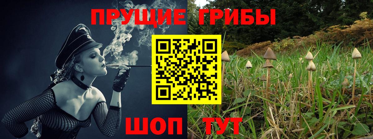 Лянтор  Псилоцибиновые грибы мицелий  Вход с VPN  где купить наркотик  Галлюциногенные грибы MAGIC MUSHROOMS 